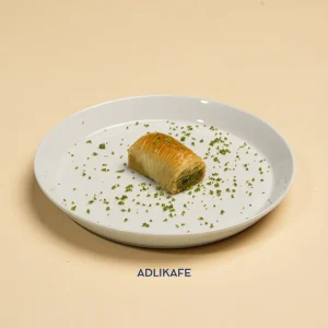دولانگیر-dolangir-normal